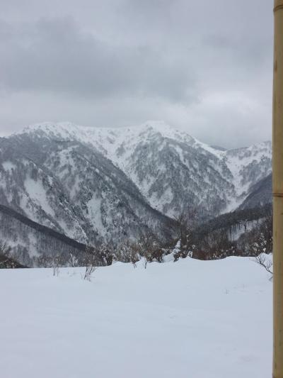 楽しくて気持ちいい！