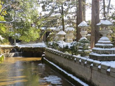 辺り一面銀世界で～す「多賀大社編」