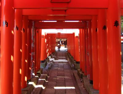 東京散歩　多摩川　大師橋から穴守稲荷を訪ねて　下