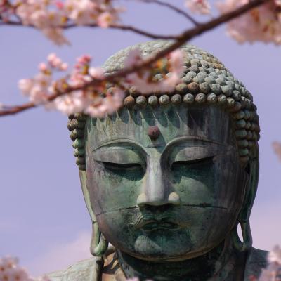 ★Kamakura★ ～Daibutsu Portrait～