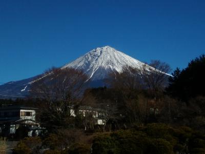 東京から日帰り・車なしで行ける世界遺産・富士山浅間大社＆白糸の滝