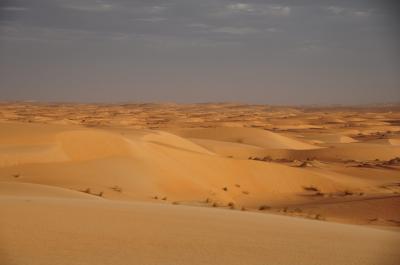 2015年越しサハラ・モーリタニア～#3砂、砂漠シンゲッティー