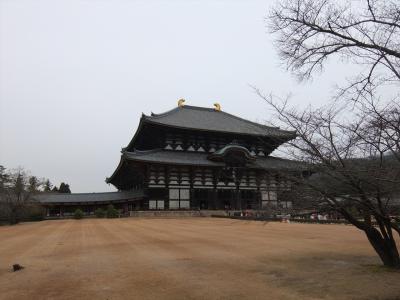 2016年　1月　奈良県　東大寺