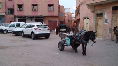 モロッコ旅行2016年1月18日④