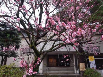 醤油の町【野田】を散策～キッコーマンもの知りしょうゆ館