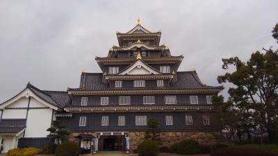 2016 ANAマイル獲得修行の旅　その1