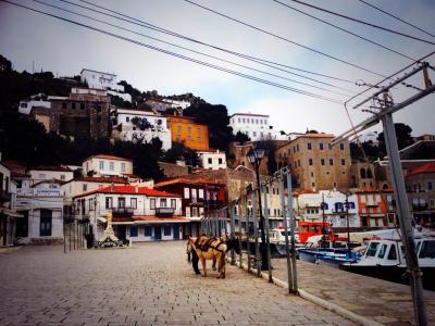 女子大生のギリシャ一人旅　④　イドラ島編