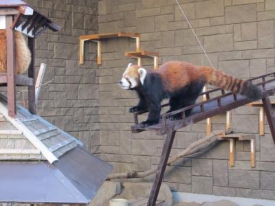 【浜松その2】洞窟・動物園