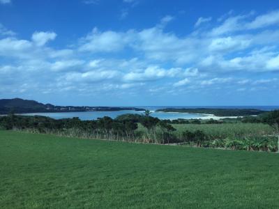 寒いよ～沖縄（泣）39年ぶりに雪が降った(@o@ !!・①石垣島編