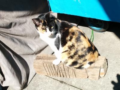 香港の歴史を訪ねつついっぱい食べた3泊4日の旅(4日目)