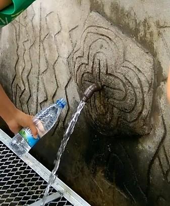 ニューカレドニア/子連れでのんびり10泊⑨(モンドール&沈める森への道)