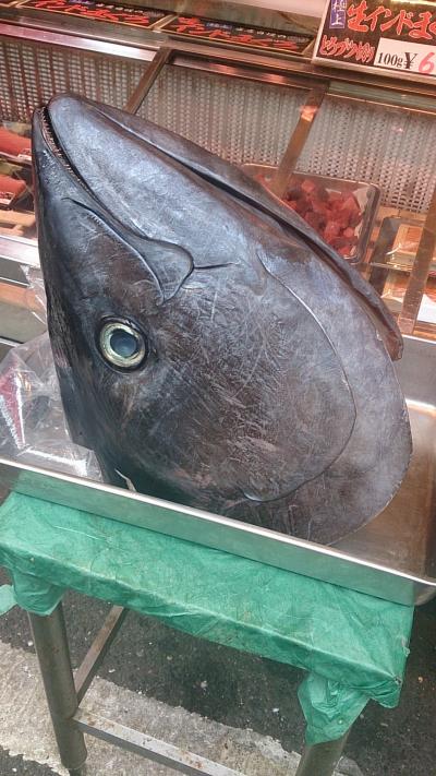 両親と行く東京築地お魚の旅