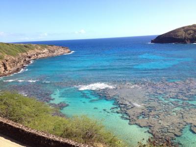 22番バスでハナウマベイ