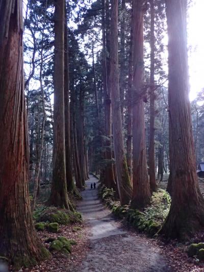 東京からの突発旅、１泊2日で長野市へ(戸隠神社編)