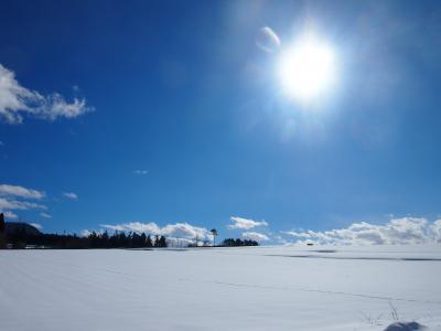 スノーボードの予定が雪景色の群馬ドライブになっちゃいました。。。