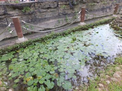 高雄原生植物園・都市森林浴場を散策 2013/05/26