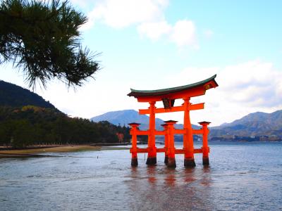 神が宿る島