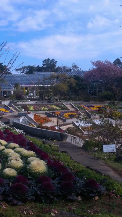 伊豆四季の花公園&一碧湖、おまけの伊東マリンタウン★