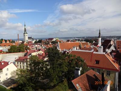 華麗なる王朝建築と「ソ連」&バルト海を臨む国々を巡る旅：ロシア・フィンランド・エストニア・デンマーク旅行【３８】（2015年秋８日目５ 赤い市街の風景 山の手篇）