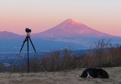 伊豆スカイライン・滝知山公園