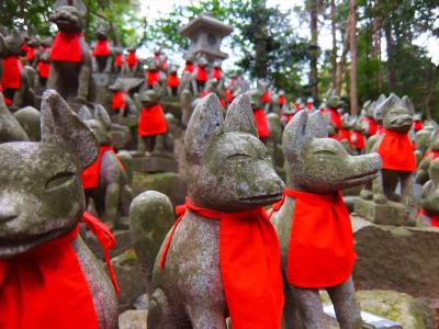 2016年　2月　愛知県　豊川稲荷