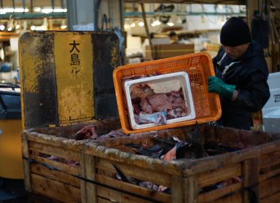 築地で朝活！移転前の築地市場を堪能