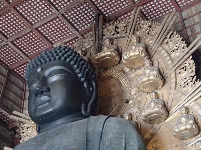 2016 初めての奈良 修学旅行は熱出しちゃったからね