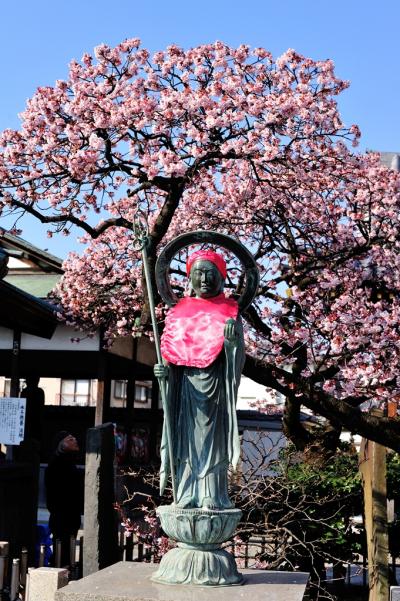 孫の初参りは西新井大師