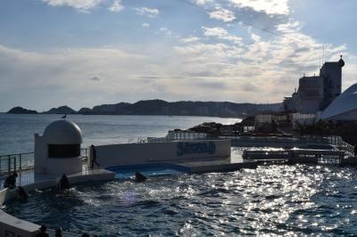 [子連れ旅] いちご狩り、プール、温泉、水族館で、２月の房総を楽しむ！