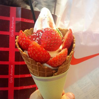 爆買い避けたら、自ら爆買いに..三井アウトレット＠木更津