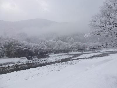 奥飛騨冬物語　～白川郷・高山・奥飛騨温泉・飛騨牛～　Vol１