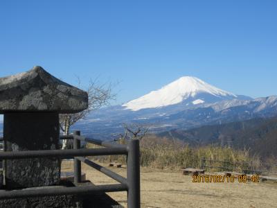 伊豆半島・春のぐるり旅