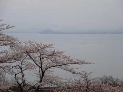 桜舞う海津大崎と琵琶湖バレイ空中散歩