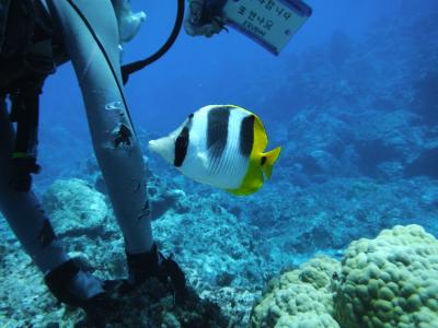 ★ひょんなことからマリアナ諸島ホッピング③～自然の残るロタ島大満喫～★