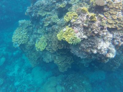 タナ島で火山ツアーとシュノーケル