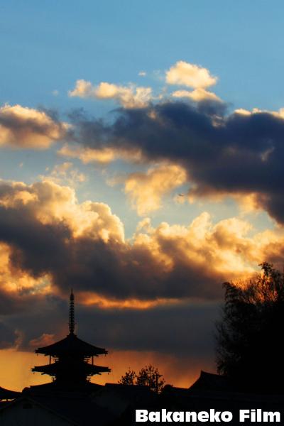 法隆寺　冬の夕景　緊急モードで投稿。