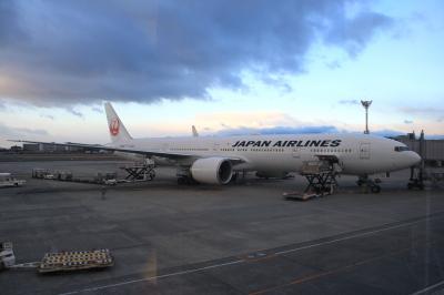 ワンワールド世界一周航空券で行く　 メキシコ・キューバ編