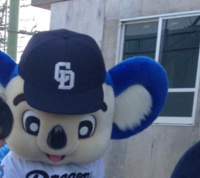 2016プロ野球キャンプ