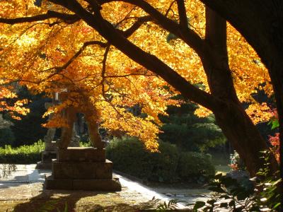 紅葉の時期に萩市を訪ねて