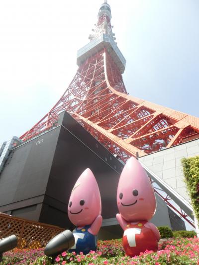 子供連れの東京旅行でthe観光地巡り/子供3人大人1人/2015年8月