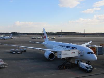 【ＪＧＣ修行２０１５】ＪＡＬグローバルクラブへの道★５−４「リニューアルしたＢ７８７でインドへ！」編