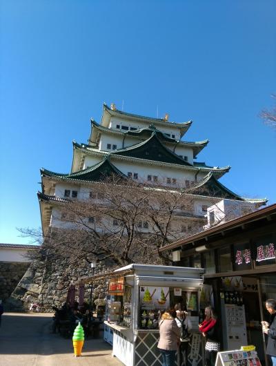 スイートに泊まって来ました‼2日目