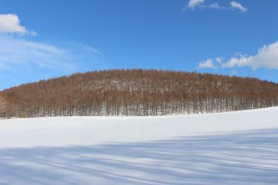 冬の北軽井沢　～北海道的風景を求めて、つまごいパノラマラインを行く