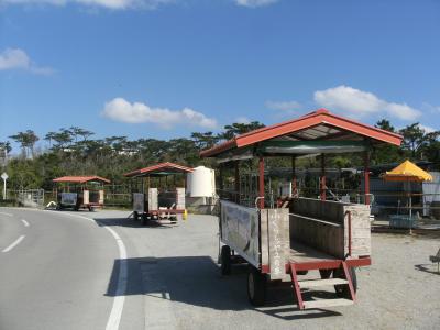 定番　金武のキンタコとマングローブと あとはグダグダ...