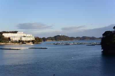 鳥羽水族館、イルカ島