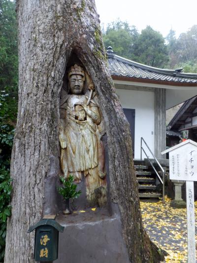 湖上館パムコ *諦応寺の銀杏観音*萬徳寺の大山モミジ書院庭園に行ってきました。