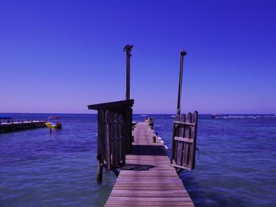 全日空ビジネスクラス直行便利用【カリビアン・プリンセス】カリブ海クルーズ１１日間　＠５日目