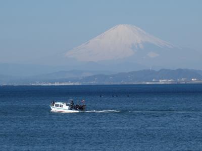 江ノ島まで富士山を見に行ってきました。何十年ぶりの江ノ島です。