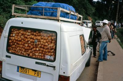 マダガスカル旅行