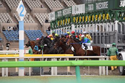 東京競馬場で”動くものを撮る”写真旅